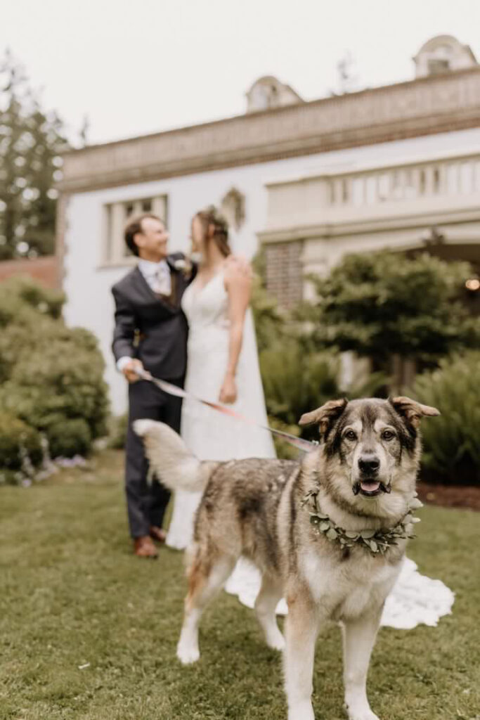 bride and groom with dog at lairmont manor