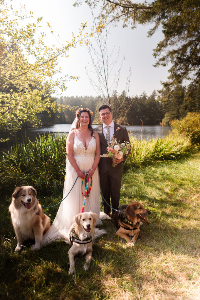Wedding party of dogs on san juan island with bride and groom